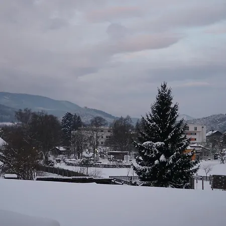 Gaestewohnung Mit Terrasse 