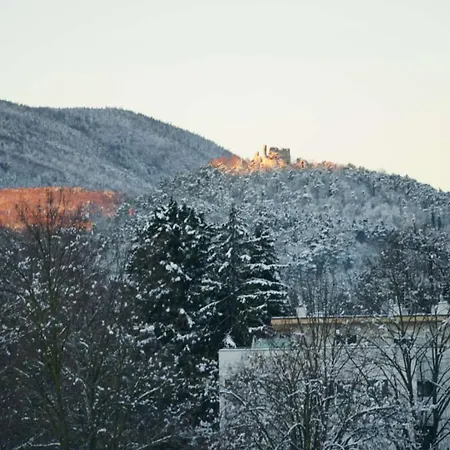 Gaestewohnung Mit Terrasse 