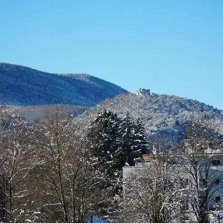Gaestewohnung Mit Terrasse 
