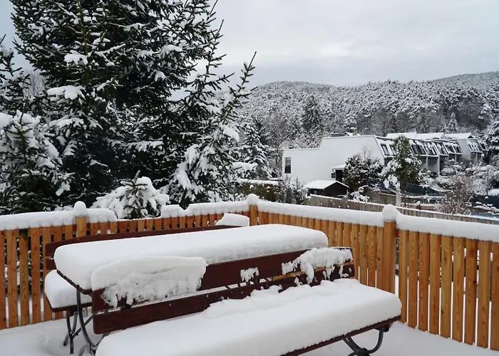 Gaestewohnung Mit Terrasse 