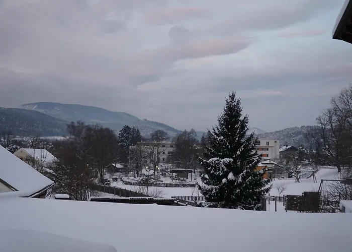 Gaestewohnung Mit Terrasse 