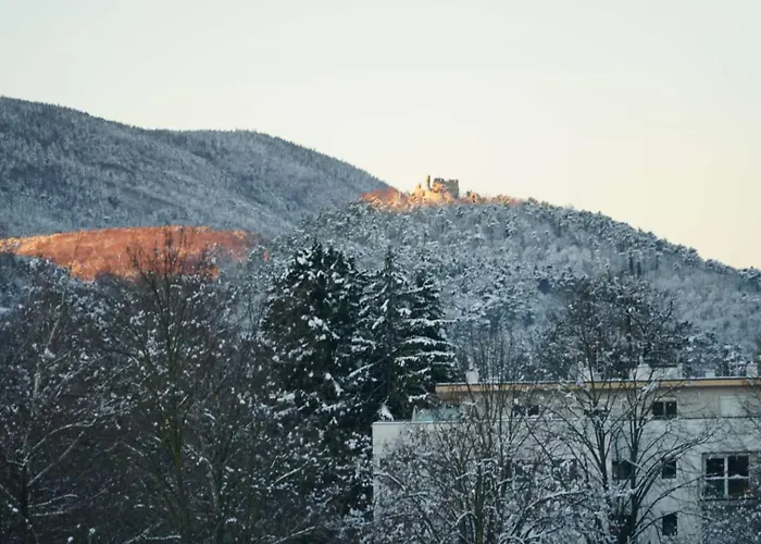 Gaestewohnung Mit Terrasse 