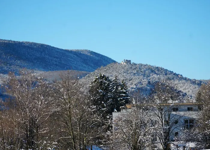 Gaestewohnung Mit Terrasse 